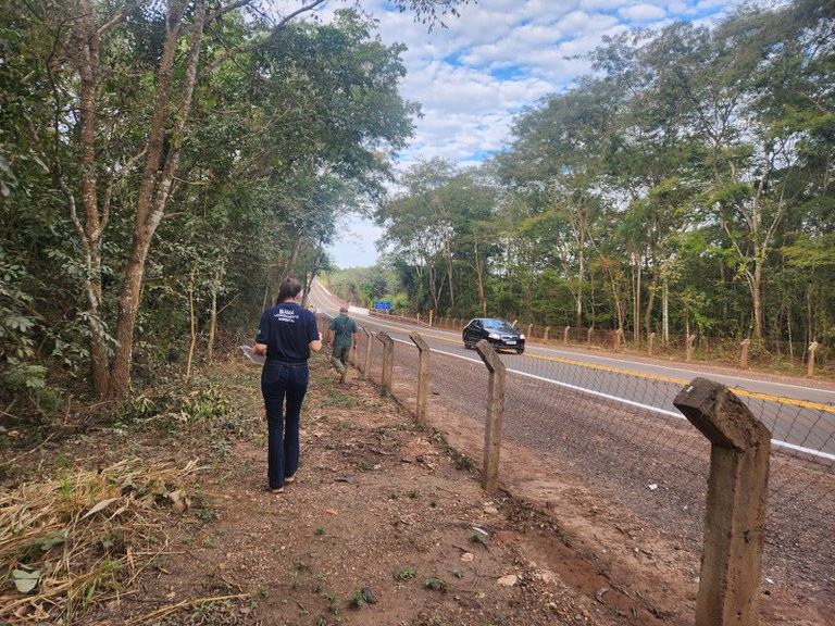 Ibama Realiza Vistoria T Cnica Em Km Da Br No Pantanal Meio