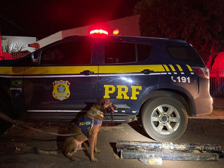 PRF apreende 41 Kg de cocaína auxílio de cão farejador na BR 262