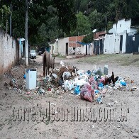 Taxa da coleta de lixo pode ser cobrada na conta de &aacute;gua e esgoto