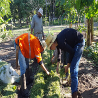 Comunidades remotas do Alto Pantanal promovem inova&ccedil;&atilde;o com sistema agroflorestal