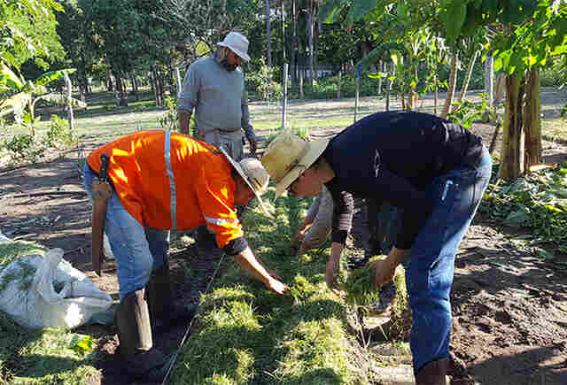 Comunidades remotas do Alto Pantanal promovem inova&ccedil;&atilde;o com sistema agroflorestal