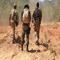 PF inicia Opera&ccedil;&atilde;o Liberta&ccedil;&atilde;o para combater garimpo ilegal em terras Yanomami