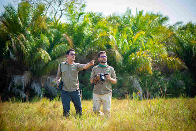 Voando alto: Observa&ccedil;&atilde;o de aves impulsiona turismo sustent&aacute;vel em Corumb&aacute; e regi&atilde;o