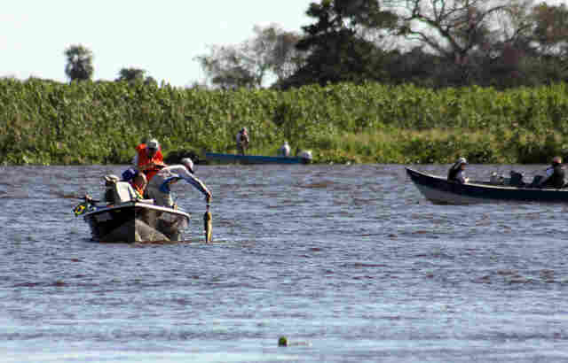 Aberta temporada de pesca, Imasul esclarece regras vigentes em MS e ensina como emitir a Carteira Digital