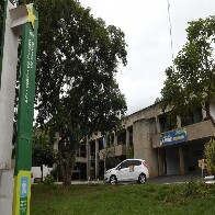 Mato Grosso do Sul tem resultado acima da m&eacute;dia no Programa Aux&iacute;lio Brasil
