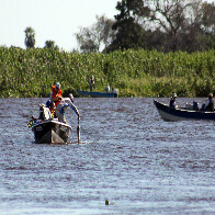 Aberta temporada de pesca, Imasul esclarece regras vigentes em MS e ensina como emitir a Carteira Digital