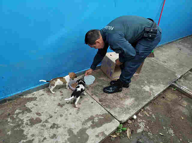 Guarni&ccedil;&atilde;o da Pol&iacute;cia Militar encontra dois filhotes de cachorro preso dentro de saco