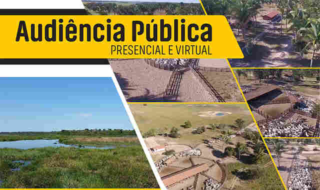 Audi&ecirc;ncia P&uacute;blica Virtual vai debater a implanta&ccedil;&atilde;o de 11 mil hectares de pastagem em Fazenda no Pantanal
