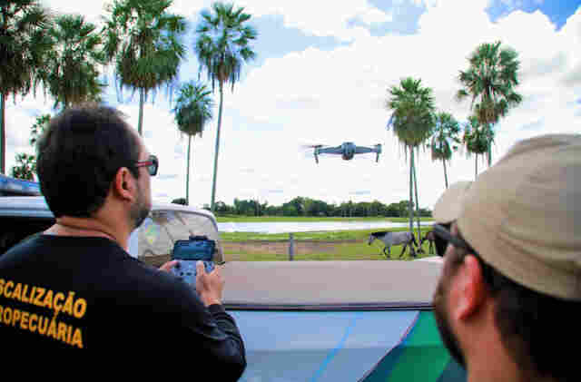 Ofensiva contra gripe avi&aacute;ria vai al&eacute;m da fronteira e mira at&eacute; fluxo de migra&ccedil;&atilde;o de aves