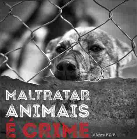 Pol&iacute;cia Civil prende mulher por maus-tratos de animais na Vila Guarani em Corumb&aacute;