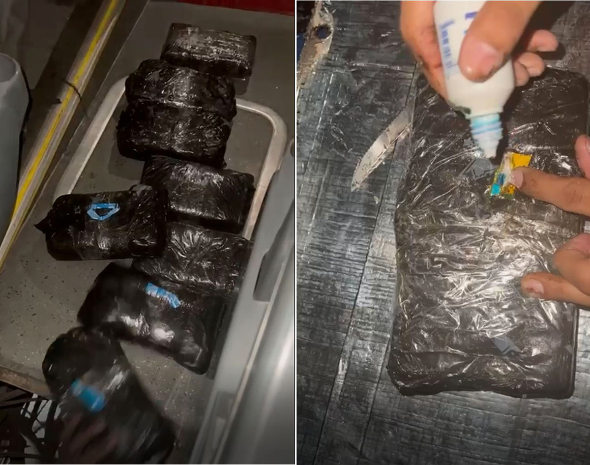 V&Iacute;DEO: Com caminh&atilde;o-scanner e c&atilde;es farejadores da Receita Federal apreendem 70 kg de droga no Posto Esdras