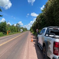 Em parceria com a PMA, a&ccedil;&atilde;o usa at&eacute; bonecos para salvar animais na principal rodovia do Pantanal