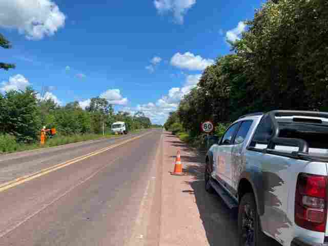 Em parceria com a PMA, a&ccedil;&atilde;o usa at&eacute; bonecos para salvar animais na principal rodovia do Pantanal