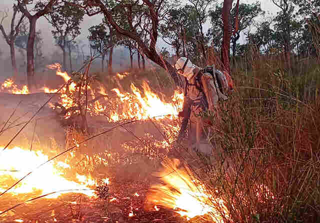 Ibama lan&ccedil;a Plano de A&ccedil;&atilde;o para o Manejo Integrado do Fogo no Bioma Pantanal