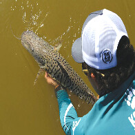 Pesque solte no Pantanal: saiba como  praticar uma pesca esportiva sustent&aacute;vel