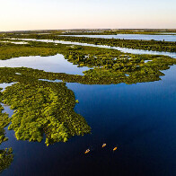 Institutos veem &lsquo;oportunidade hist&oacute;rica&rsquo; com discuss&atilde;o sobre fundo de conserva&ccedil;&atilde;o do Pantanal