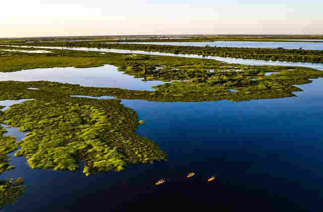 Institutos veem &lsquo;oportunidade hist&oacute;rica&rsquo; com discuss&atilde;o sobre fundo de conserva&ccedil;&atilde;o do Pantanal
