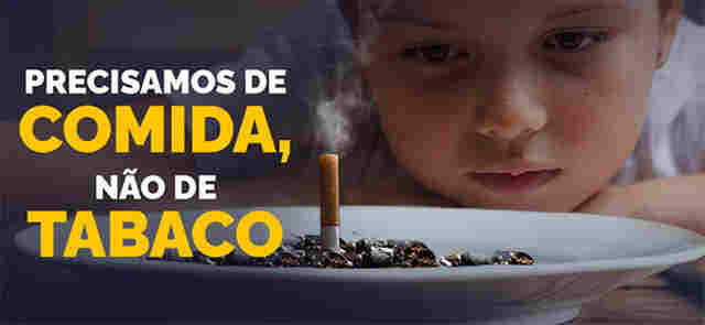 Sa&uacute;de lan&ccedil;a campanha para incentivar produ&ccedil;&atilde;o de alimentos sustent&aacute;veis em substitui&ccedil;&atilde;o ao cultivo do tabaco