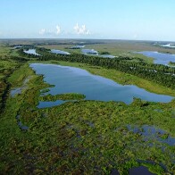 Dia do Meio Ambiente: Governo anuncia investimentos e medidas que fortalecem eixo da sustentabilidade
