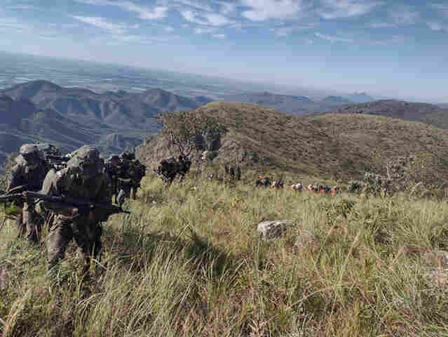 IHP e Ex&eacute;rcito t&ecirc;m parceria para promover desenvolvimento sustent&aacute;vel no Pantanal