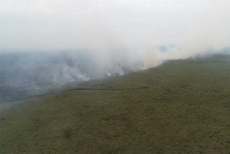 Com tecnologia e técnica, bombeiros de MS extinguem fogo na região do Pantanal
