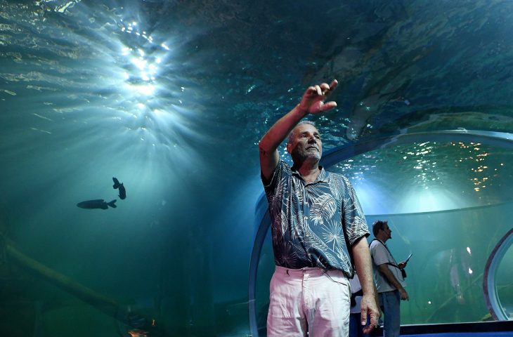 Morre Roberto Gallo, responsável pela cenografia do Bioparque Pantanal