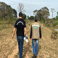 Pol&iacute;cia Civil e IAGRO realizam a&ccedil;&atilde;o conjunta contra maus-tratos de bovinos em Campo Grande