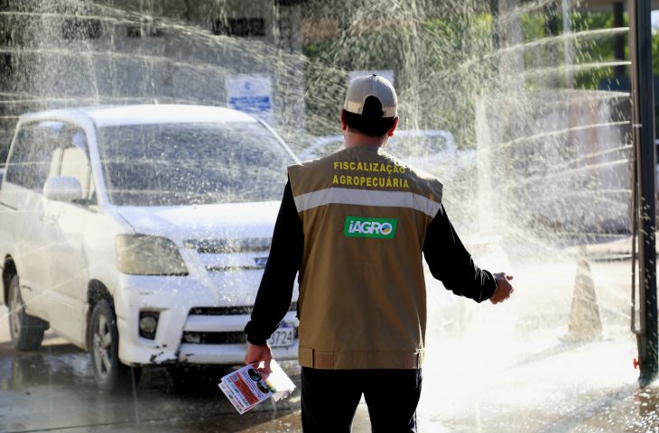 MS vai declarar Estado de Emergência Zoosanitária e intensificar ações de prevenção à influenza aviária