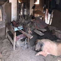 Pecuarista de Corumb&aacute; &eacute; condenado em R$ 300 mil por submeter trabalhador a condi&ccedil;&otilde;es an&aacute;logas &agrave; escravid&atilde;o