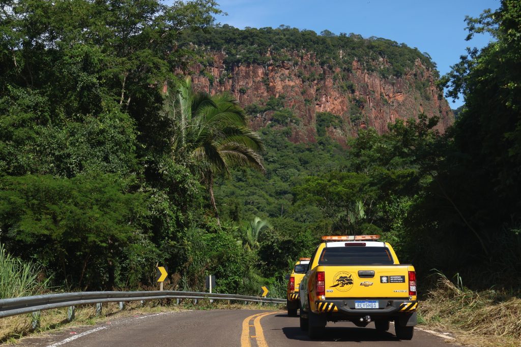 &ldquo;Estrada Viva&rdquo; amplia a&ccedil;&otilde;es em rodovias para reduzir acidentes com animais silvestres