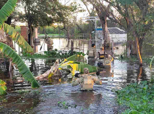 PF combate a ca&ccedil;a ilegal de on&ccedil;a-pintada no Pantanal