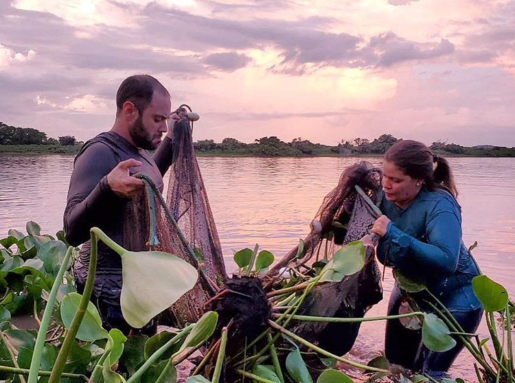 Pantanal &eacute; o bioma brasileiro que mais preserva esp&eacute;cies da fauna silvestre, mostra estudo do ICMBio