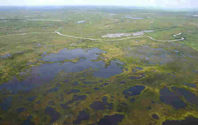 Pantanal &eacute; o bioma brasileiro que mais preserva esp&eacute;cies da fauna silvestre, mostra estudo do ICMBio