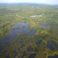 Pantanal &eacute; o bioma brasileiro que mais preserva esp&eacute;cies da fauna silvestre, mostra estudo do ICMBio