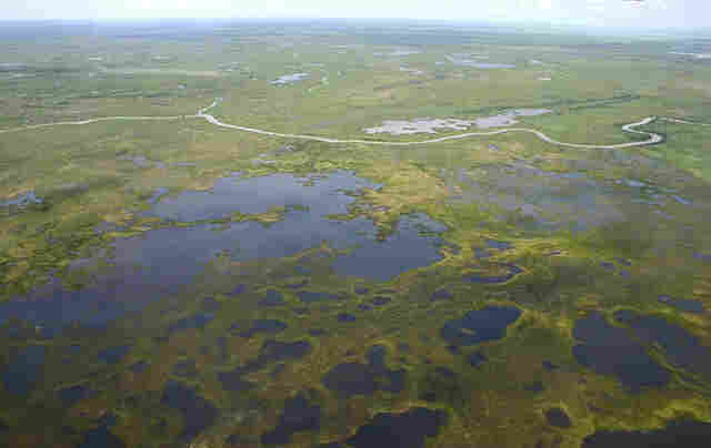 Desenvolvimento e Sustentabilidade: Riedel re&uacute;ne segmentos para criar a 1&ordf; Lei do Pantanal