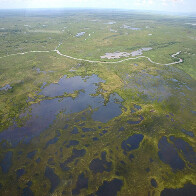 Desenvolvimento e Sustentabilidade: Riedel re&uacute;ne segmentos para criar a 1&ordf; Lei do Pantanal