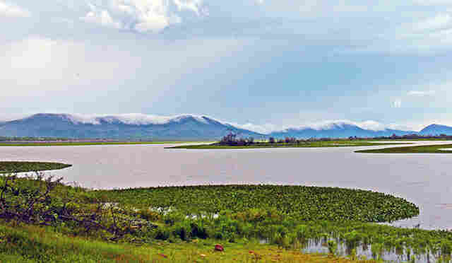 Deputados defendem pol&iacute;ticas p&uacute;blicas ao Pantanal e mudan&ccedil;a do nome do Estado