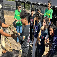 Estudantes da EE Maria Leite aprendem processos t&eacute;cnicos e administrativos durante visita em fazenda de jacar&eacute;