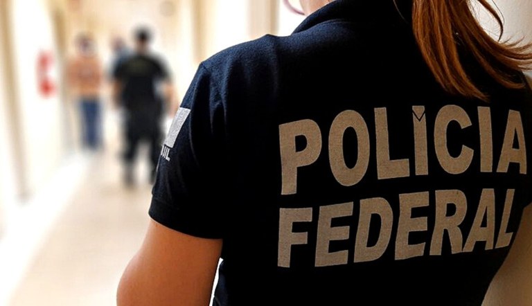 PF combate fraudes no registro de comércio de armas no MS