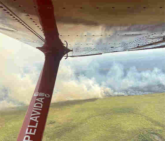 V&Iacute;DEO: inc&ecirc;ndio florestal atinge a regi&atilde;o da Ilha do Nabileque no Pantanal
