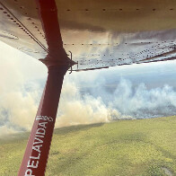 V&Iacute;DEO: inc&ecirc;ndio florestal atinge a regi&atilde;o da Ilha do Nabileque no Pantanal