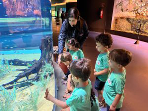 Peixe em extinção reproduz de forma inédita no mundo: espécie é atração no Bioparque Pantanal