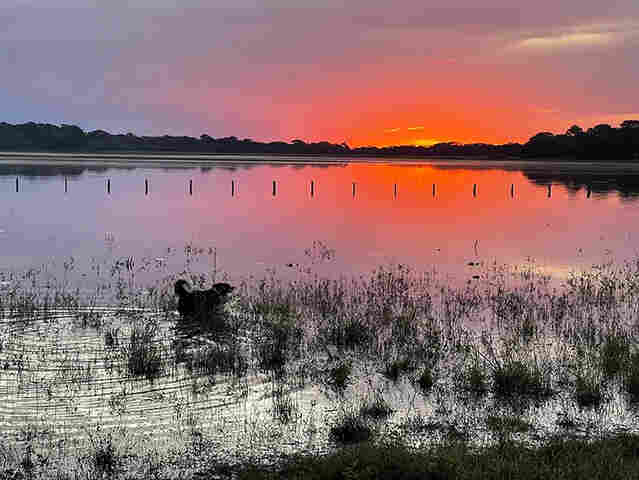 Ainda n&atilde;o pescou esse ano? A melhor  &eacute;poca &eacute; agora no Pantanal de Corumb&aacute;