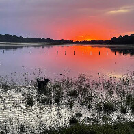 Ainda n&atilde;o pescou esse ano? A melhor  &eacute;poca &eacute; agora no Pantanal de Corumb&aacute;