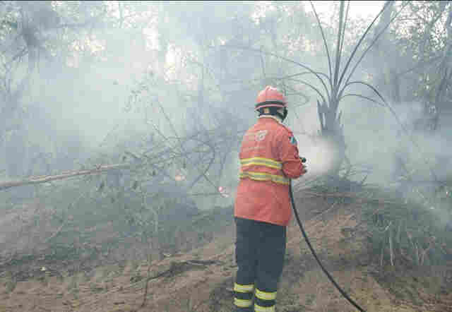 Bombeiros combatem tr&ecirc;s novos focos de inc&ecirc;ndio no Pantanal em MS