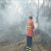 Bombeiros combatem tr&ecirc;s novos focos de inc&ecirc;ndio no Pantanal em MS