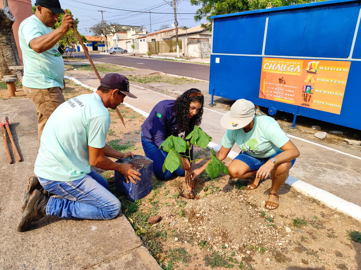 Funda&ccedil;&atilde;o de Meio Ambiente planta novas mudas de &aacute;rvores na Pra&ccedil;a Irm&atilde; R&eacute;gula