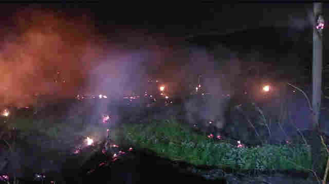 Bombeiros controlam inc&ecirc;ndio em vegeta&ccedil;&atilde;o as margens da BR-262 em Corumb&aacute;