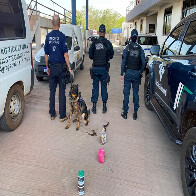 C&atilde;o de faro da Receita Federal descobre 13 kg de coca&iacute;na dilu&iacute;da em cosm&eacute;ticos no Posto Esdras