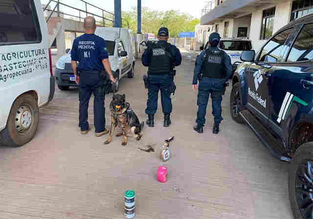 C&atilde;o de faro da Receita Federal descobre 13 kg de coca&iacute;na dilu&iacute;da em cosm&eacute;ticos no Posto Esdras